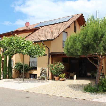 Pension Vanii, Apartments ルスト エクステリア 写真