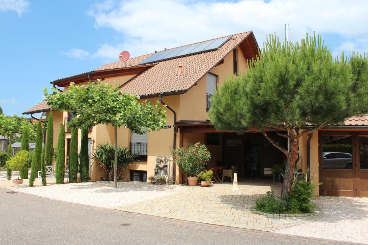Pension Vanii, Apartments ルスト エクステリア 写真