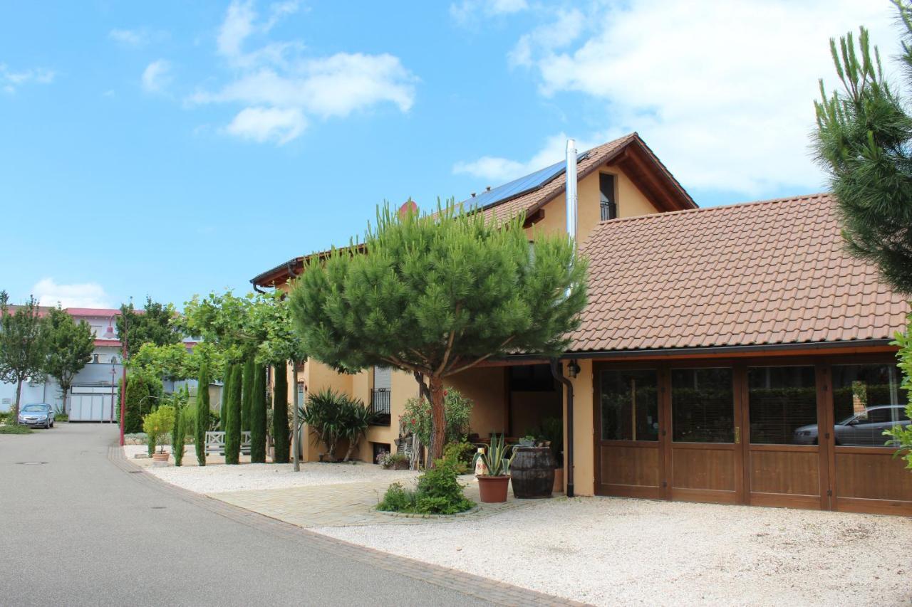 Pension Vanii, Apartments ルスト エクステリア 写真